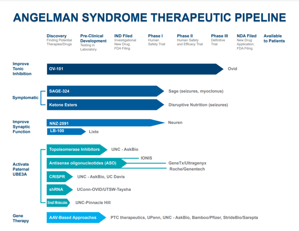 Angelman Therapeutics – Angelman Syndrome Foundation